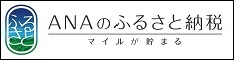 ANAのふるさと納税